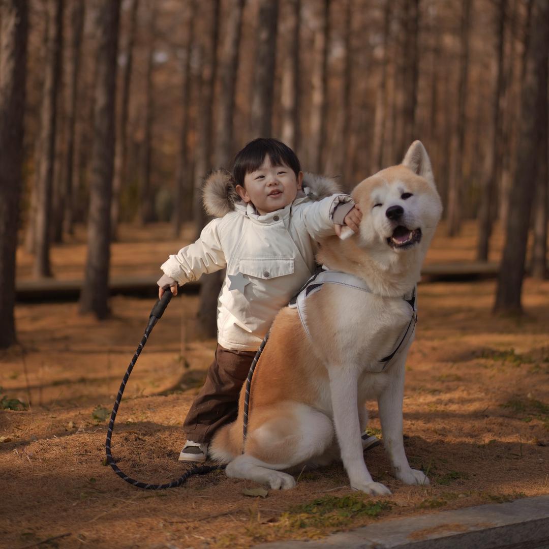 新一与猕猴桃的幸福生活