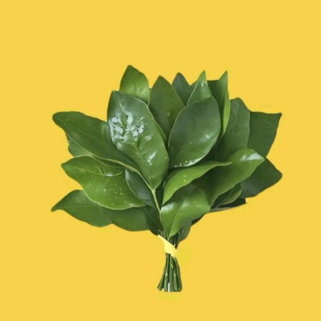 支持☔️书欣退圈