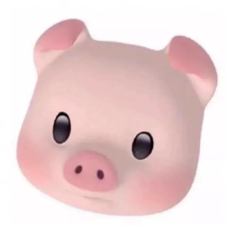 不可以凶欢欢
