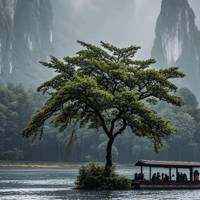 易言金道