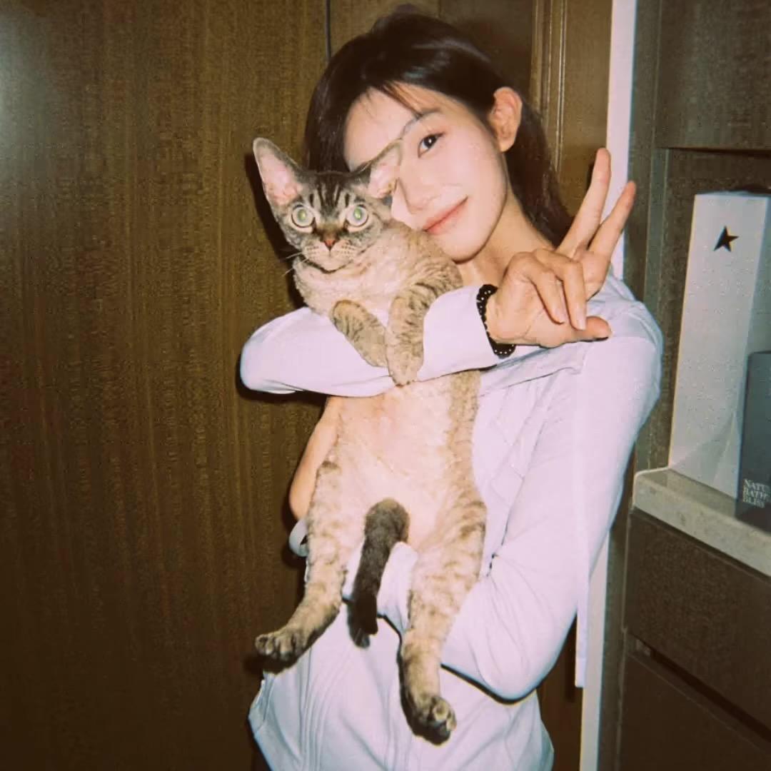 上好佳