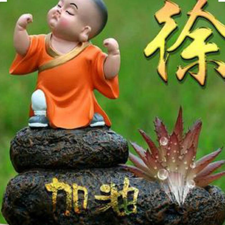 愤怒的鸟