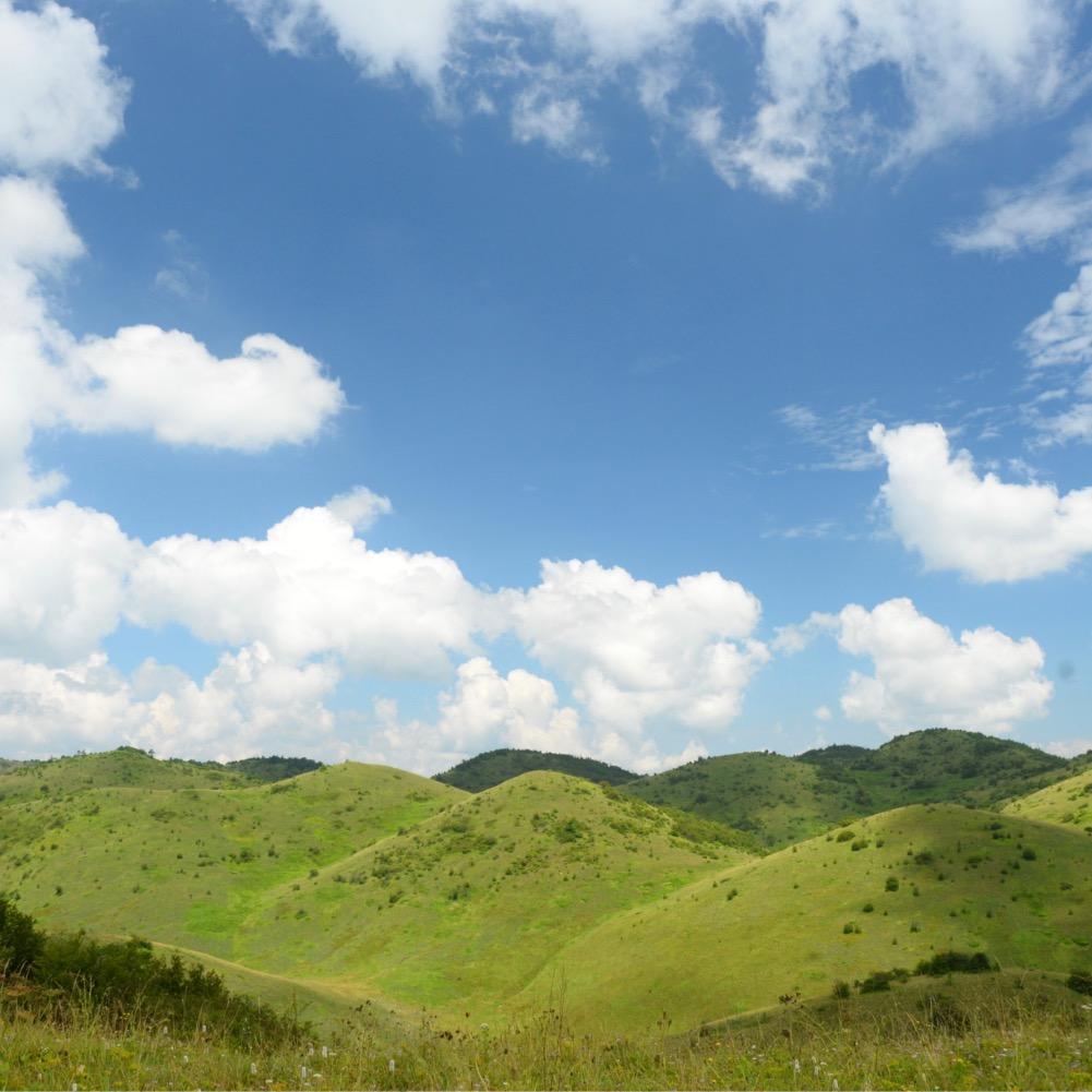 岚皋旅游集团（巴山大草原）