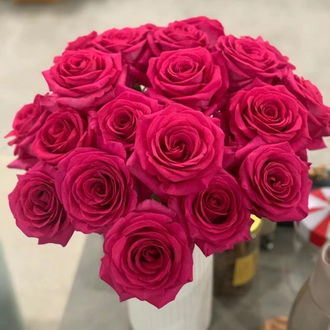 花星橙鲜花