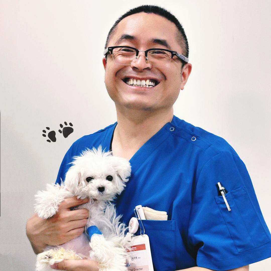 艾贝尔南京动物医学中心犬猫异宠