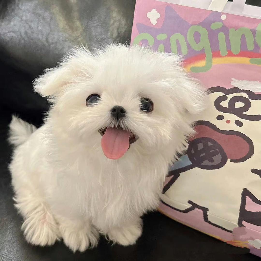 不吃香菜根