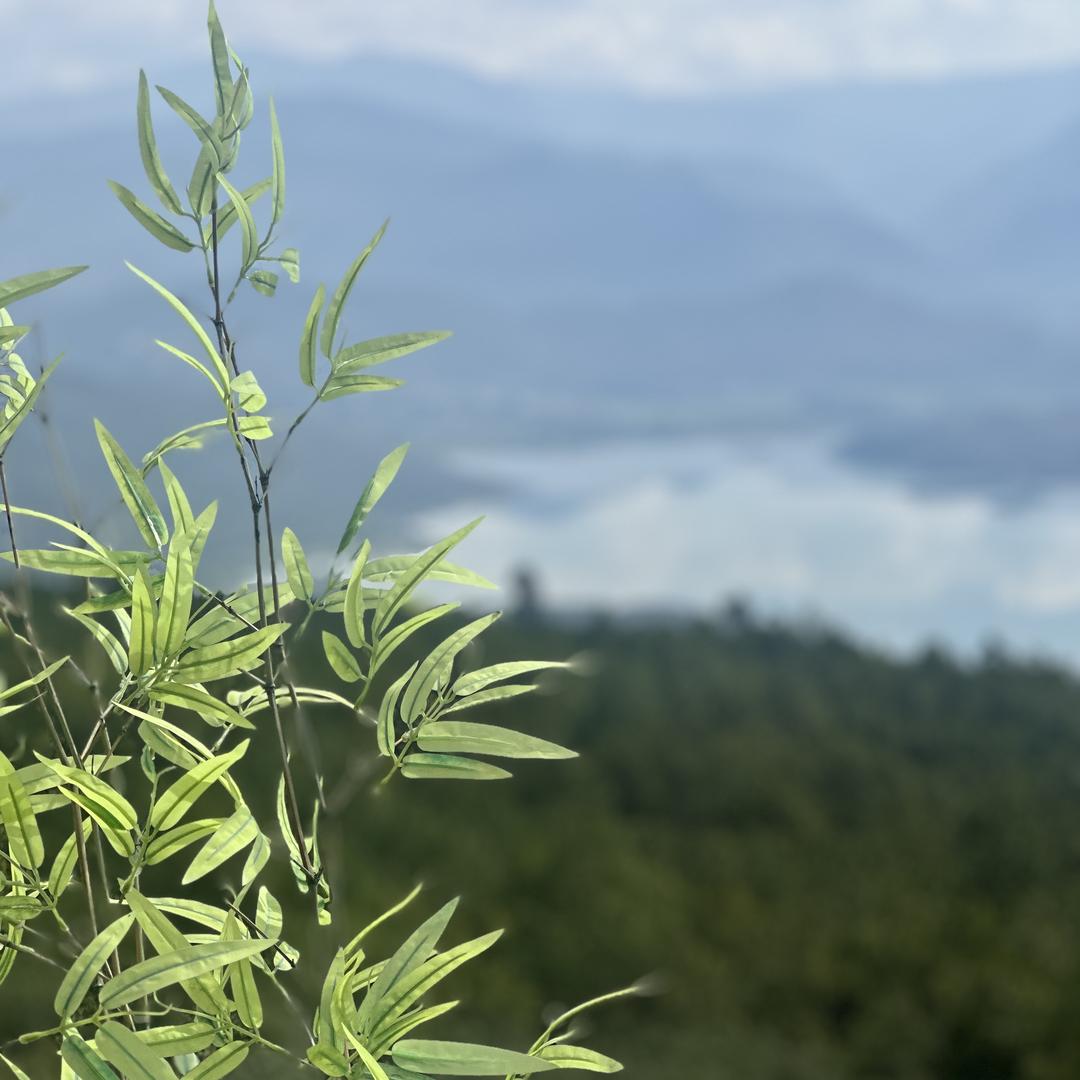 汽车服务成都大悦城店