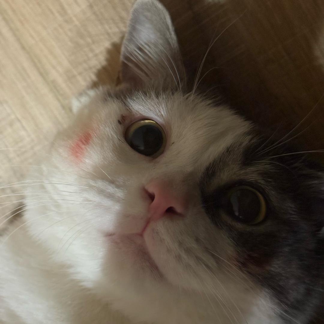 绝处逢牲