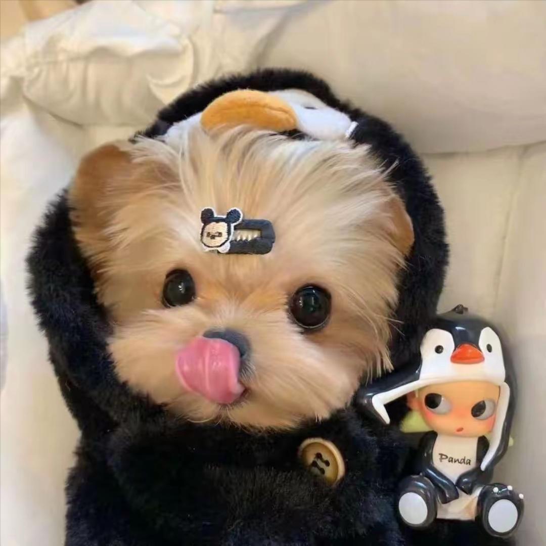 阿斗