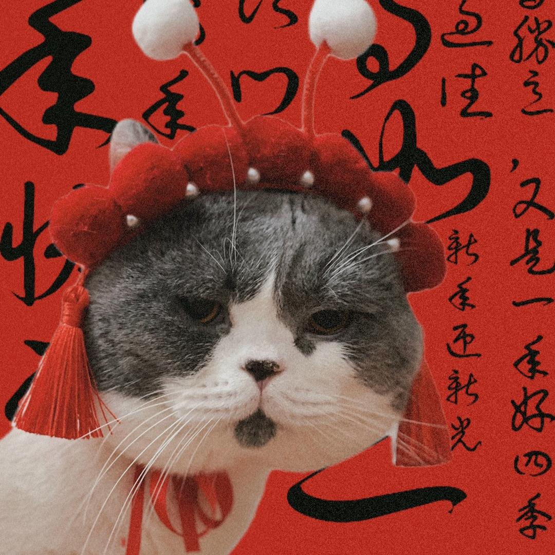 关小胖儿🐱
