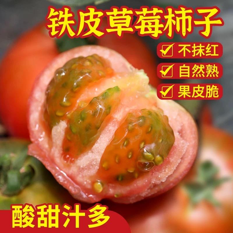 番茄工厂