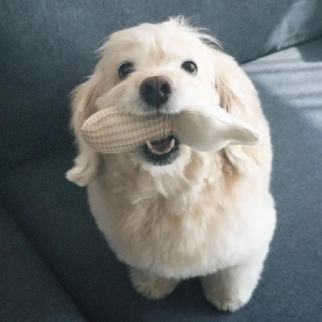 .Mmm.