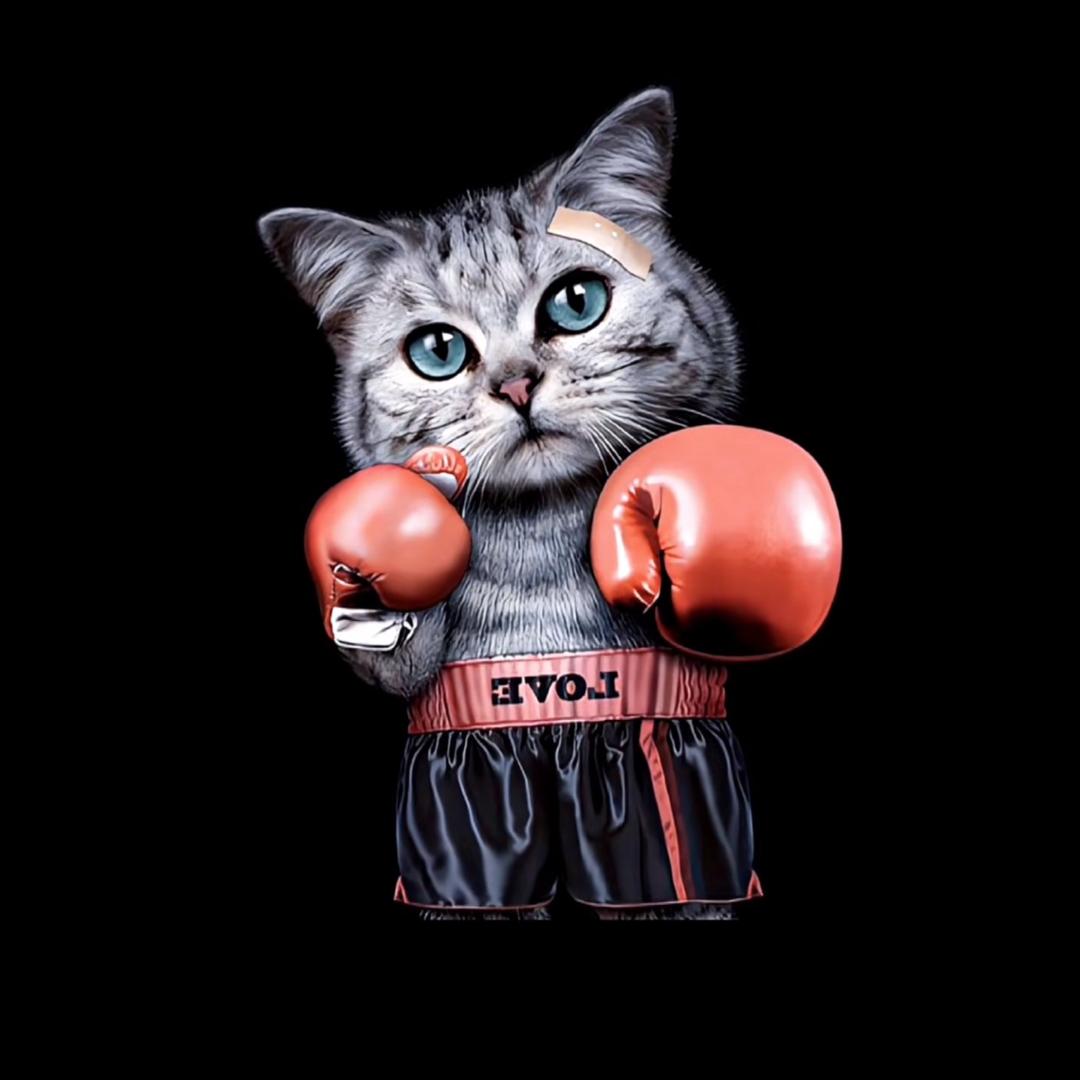 小柒讲拳👊🏻