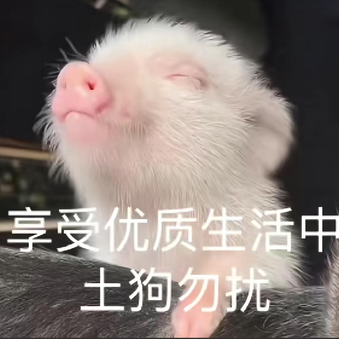过期蜜瓜.