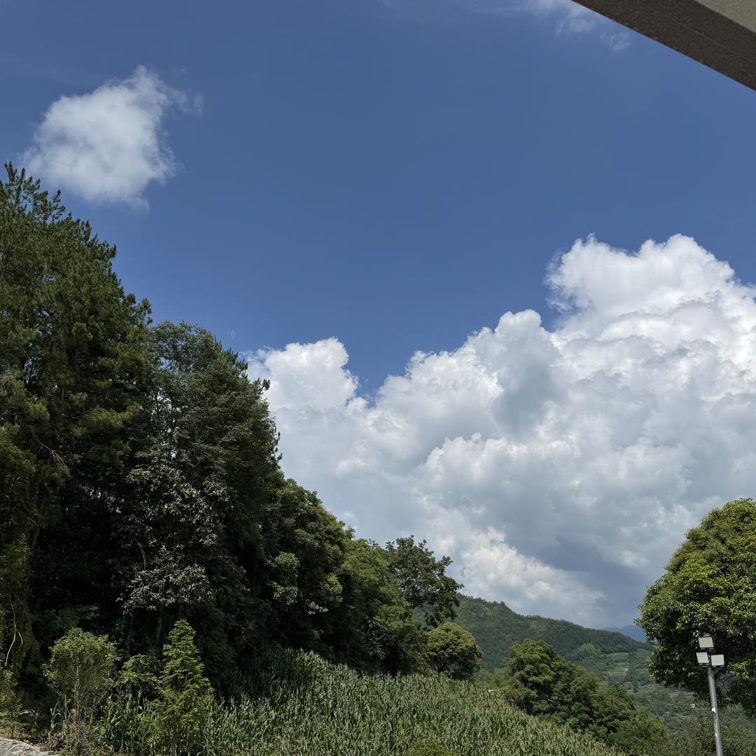 塞域骆-老邓（宠粉号）