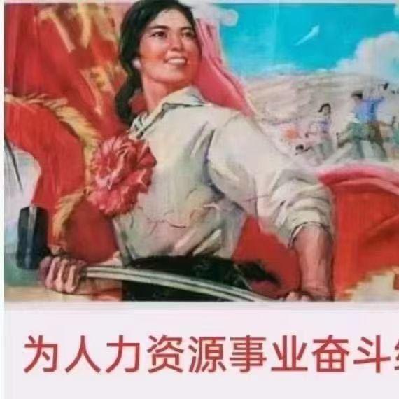 四川龙洋华川人力资源有限责任公司