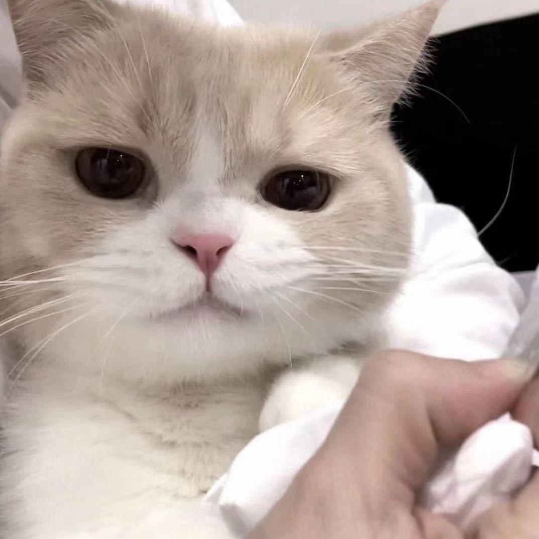 白
