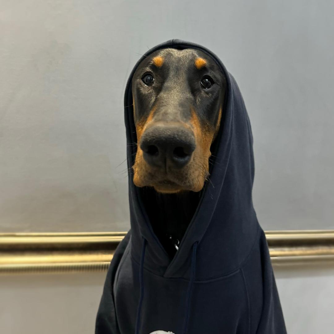 坦坦🐾