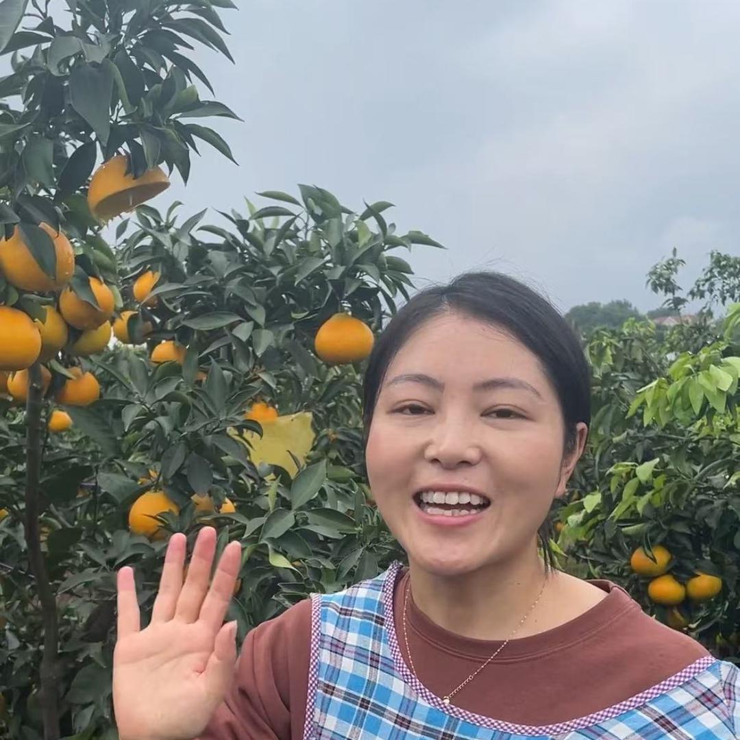 向太阳寻味