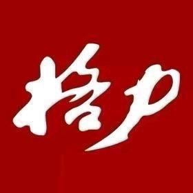 格力广伟电器专卖店