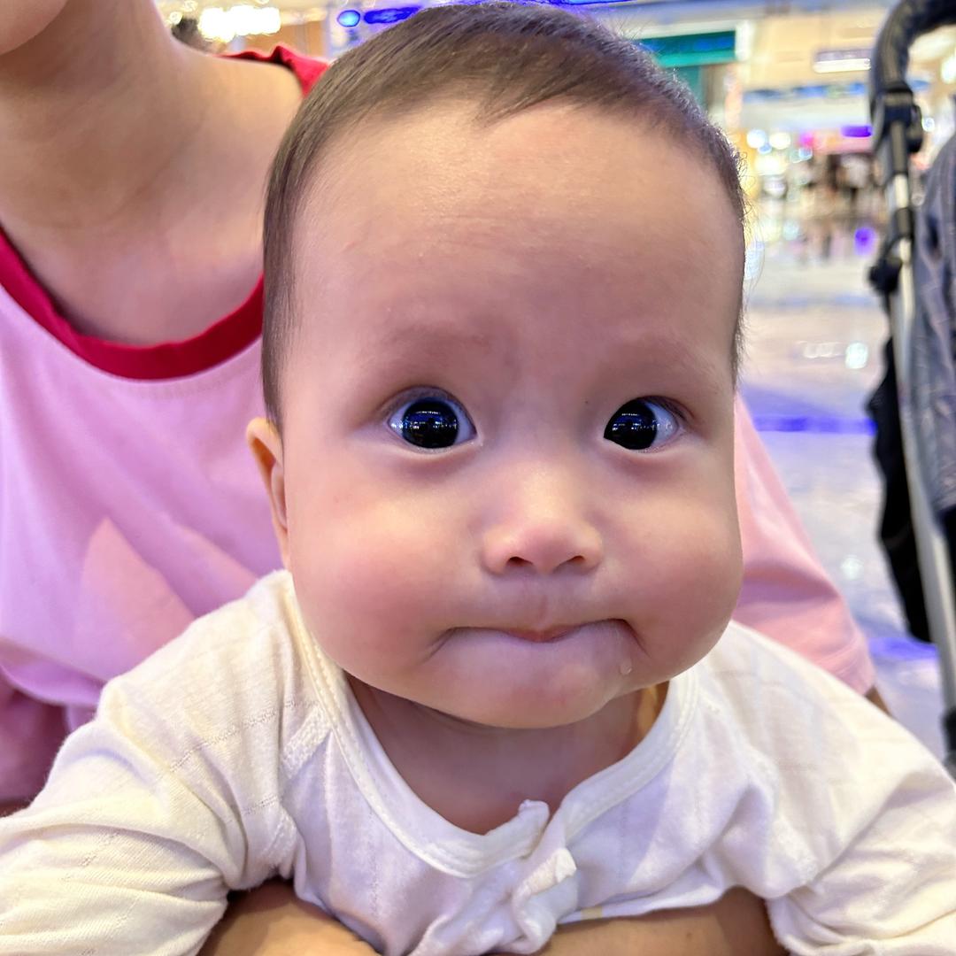 小阳阳麻麻