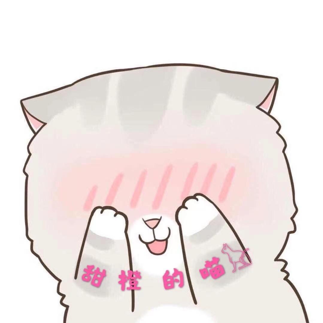 甜橙的喵𓃠
