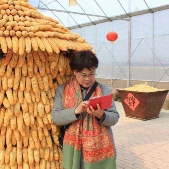 用户4850759914566完璧归赵
