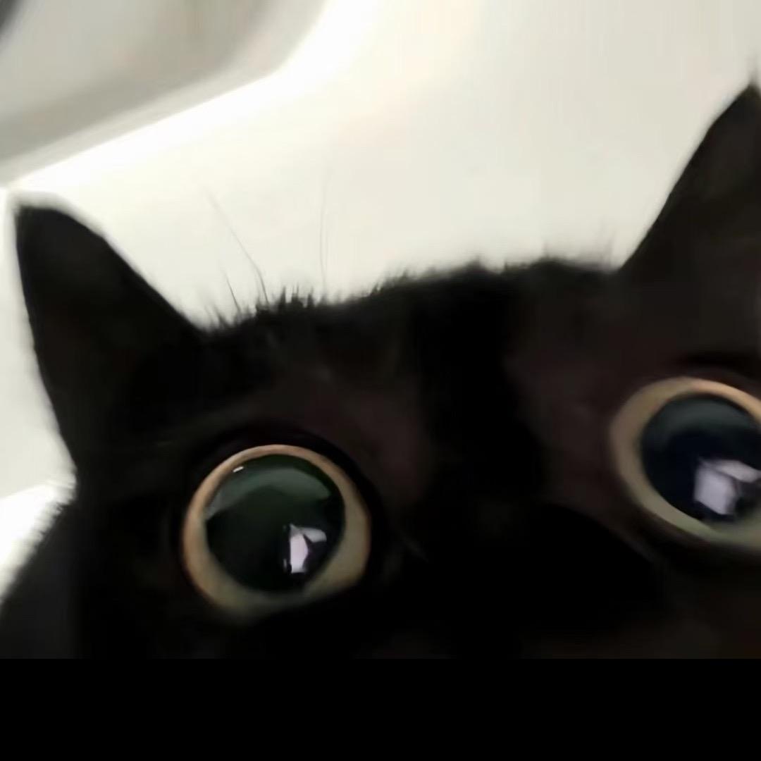 古德boy
