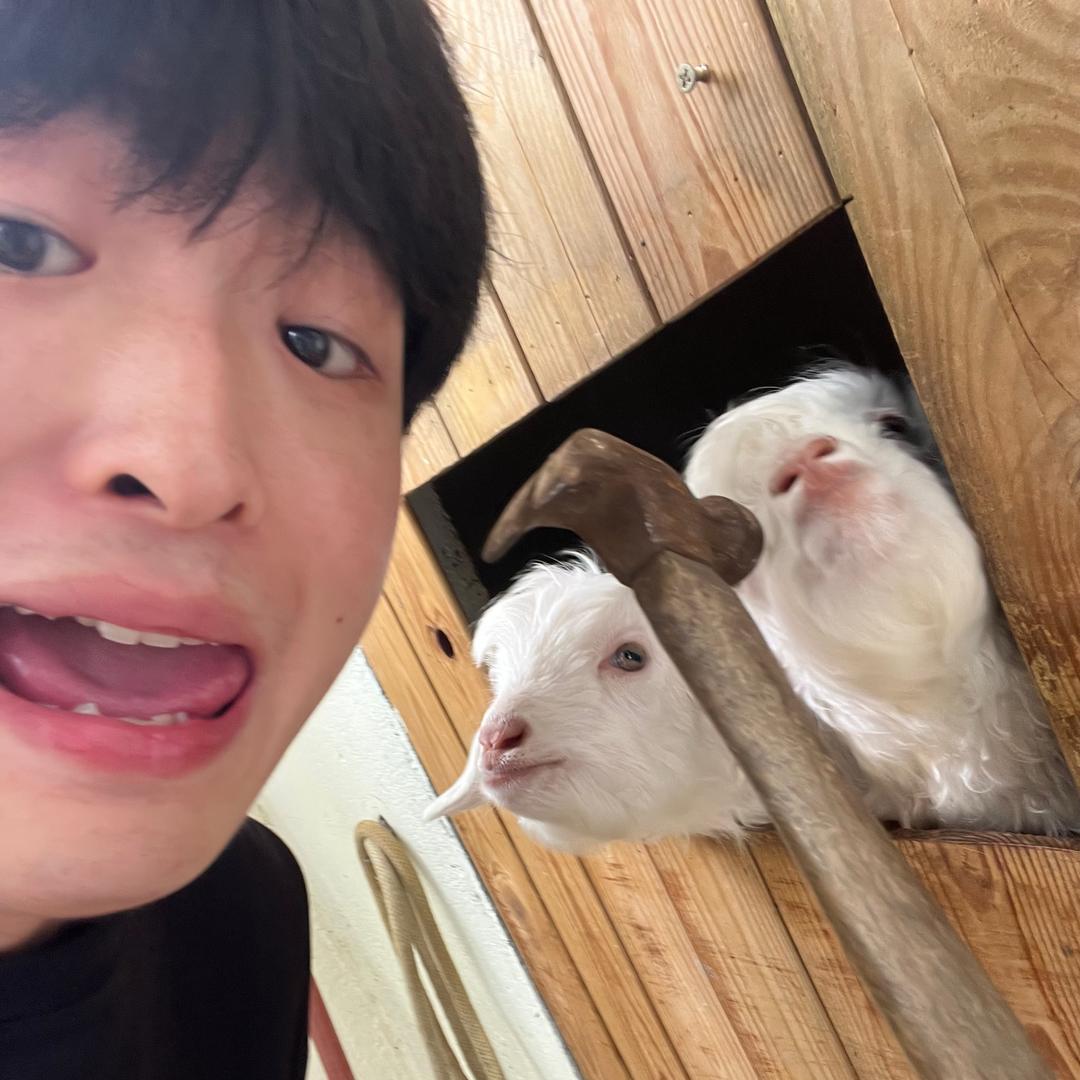 瑞赫生活号