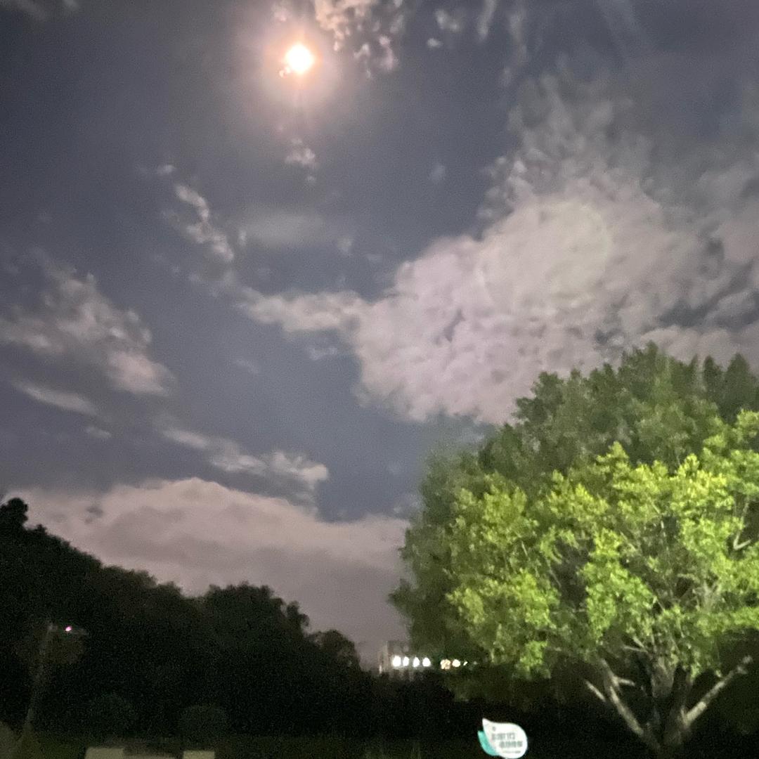 ᰔᩚ又又又摸鱼ᰔᩚ