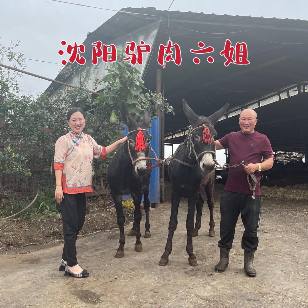 沈阳驴肉六姐
