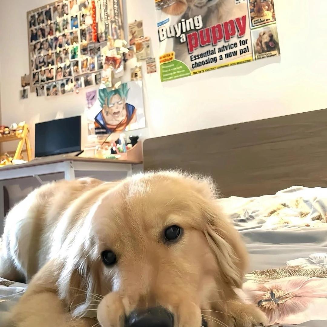 📷