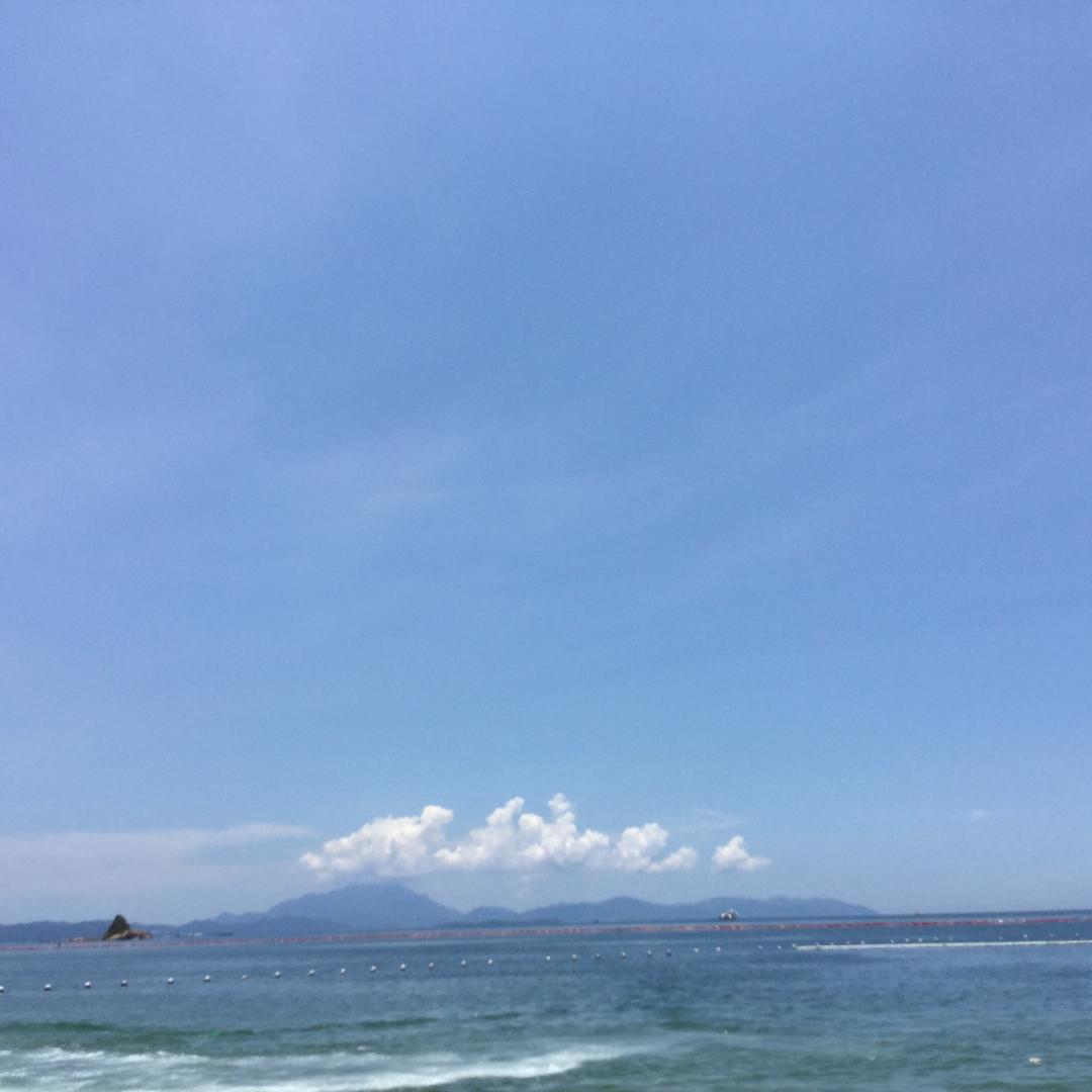小树苗