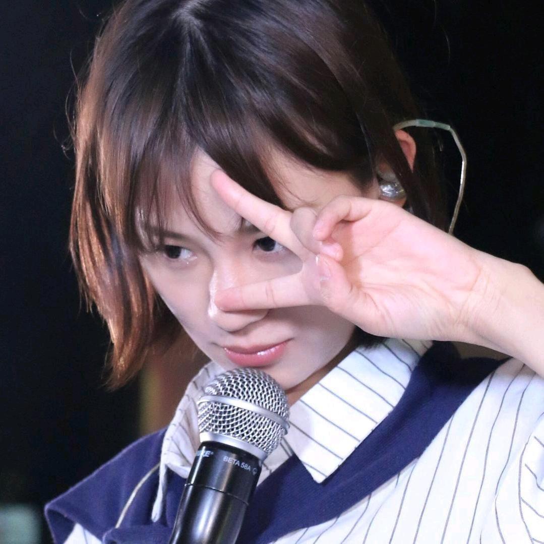 灰鸽子