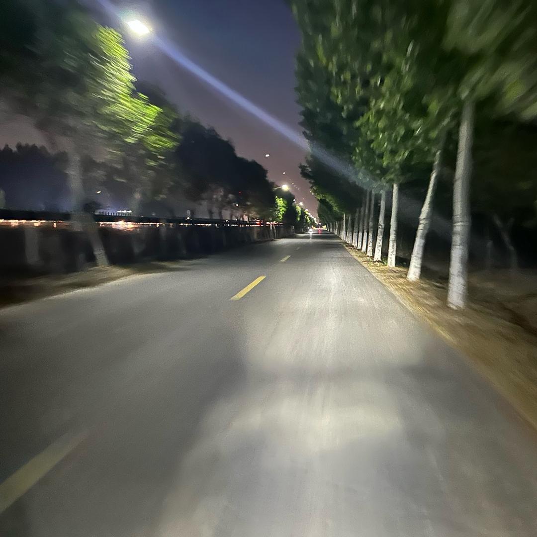 不吃鱼的王某某