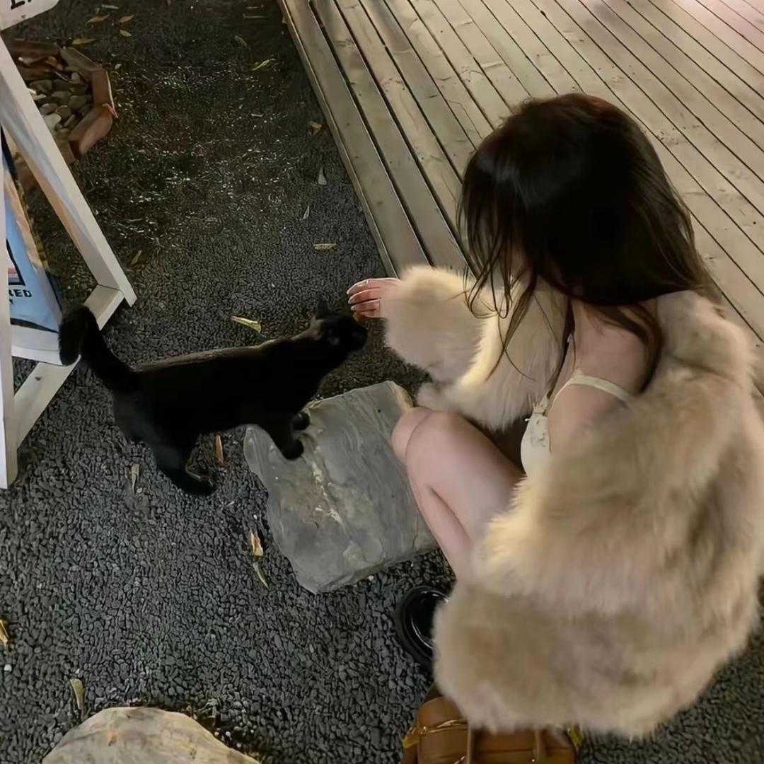 蓝桉