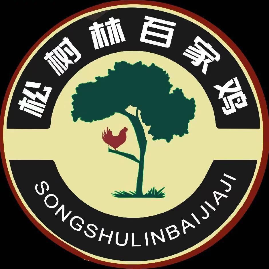 松树林百家鸡直播号