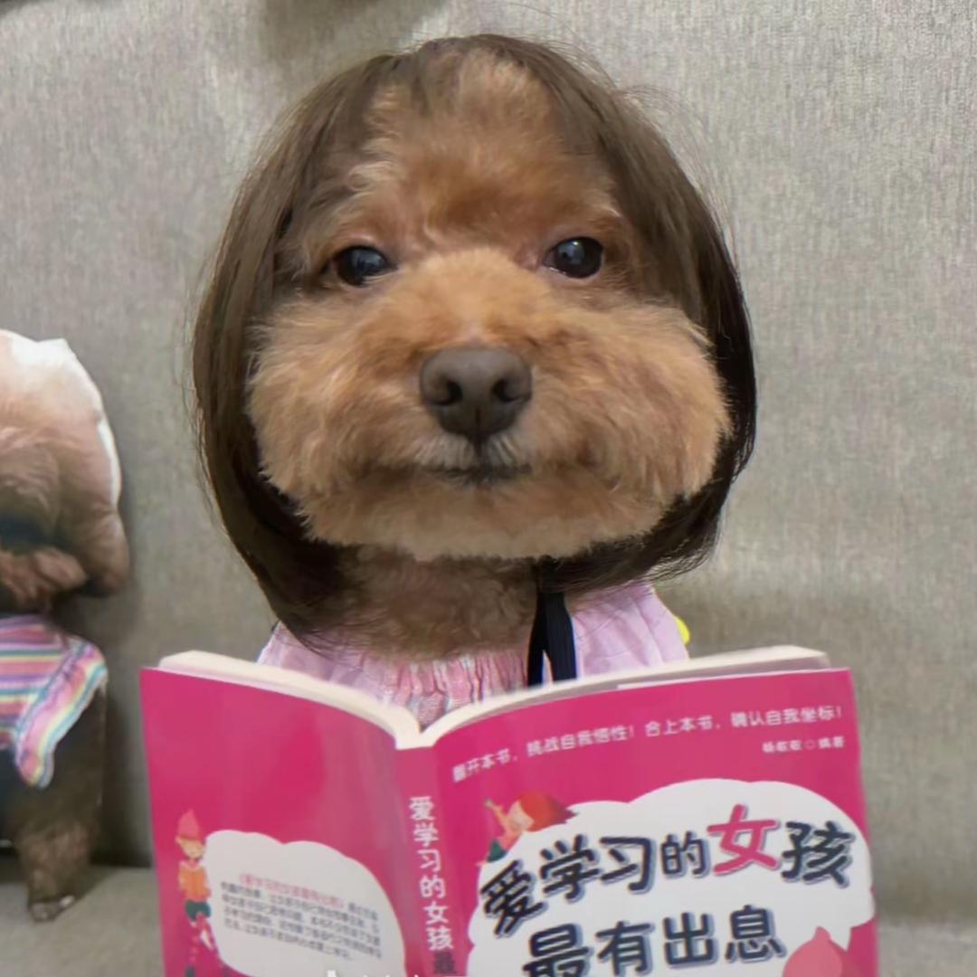 喂猫日记