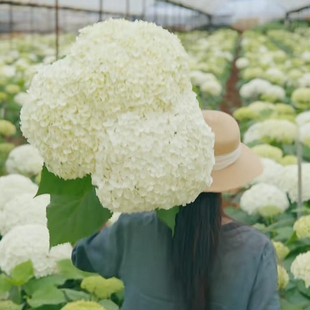 aaa潺潺烟雨