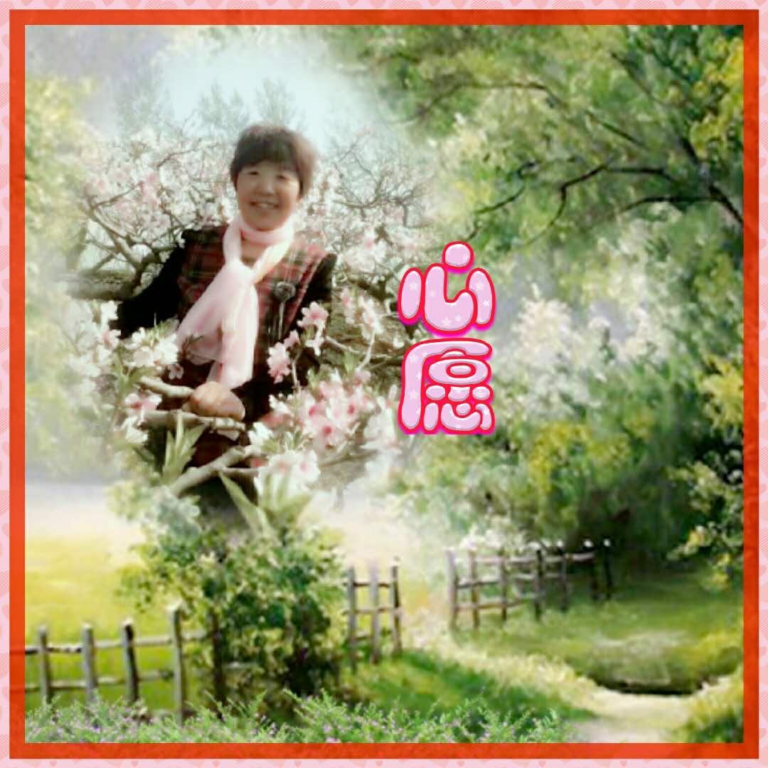 廊徒⑫心愿