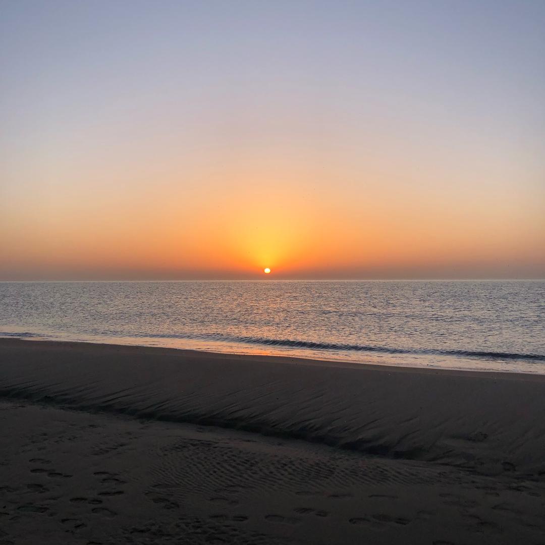 金台夕照