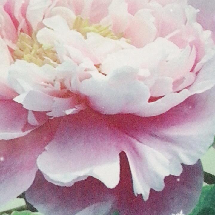 未来可欺