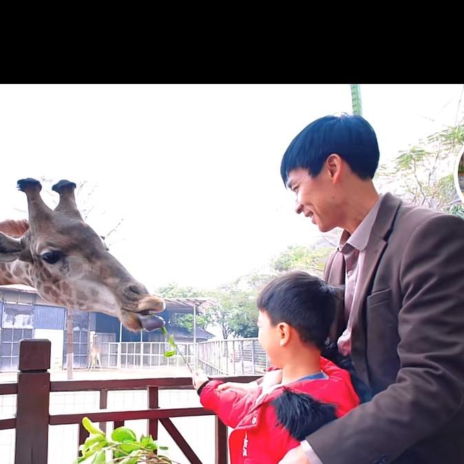 大人和小森林