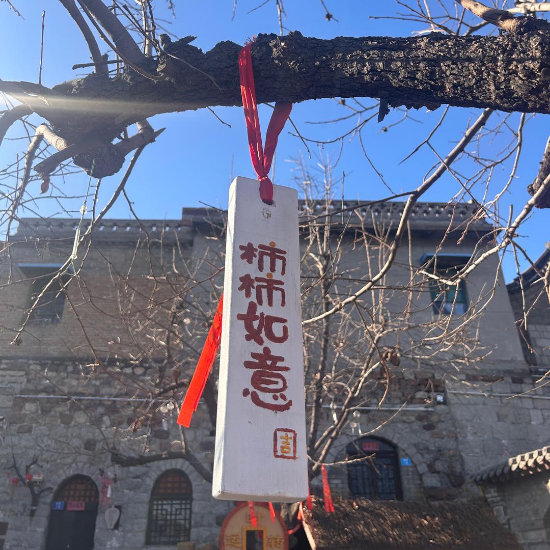 Xiao小💫 Ma马