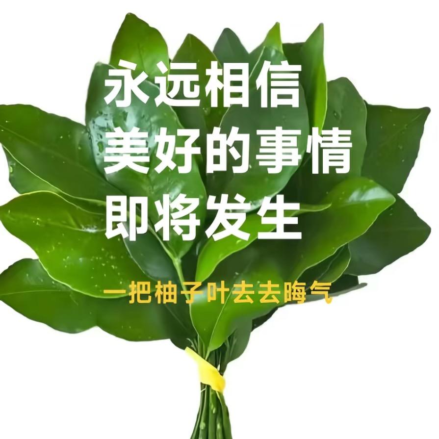 吃堡了撑