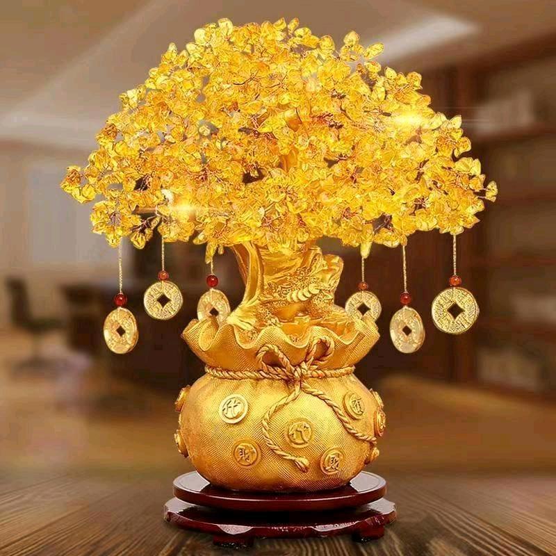 娅妮《阿丽老师团队》