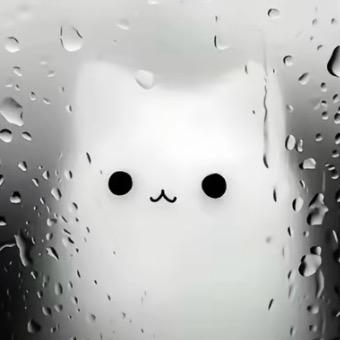 猫七owo