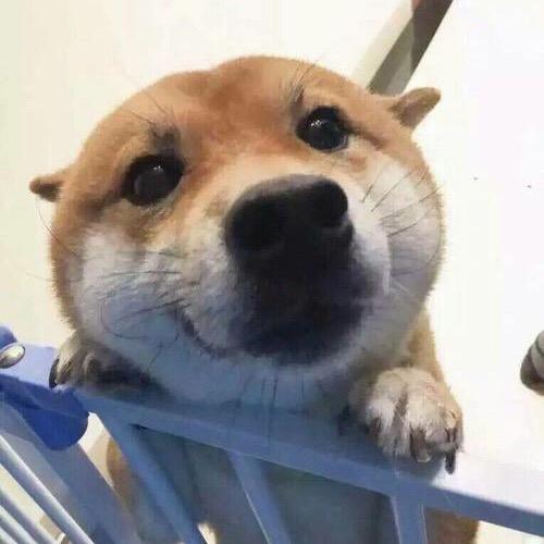 楼兰