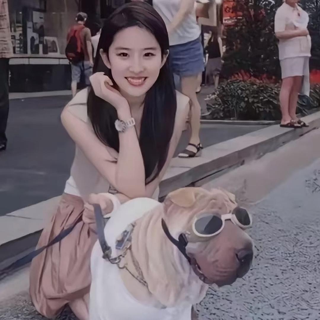 古德猫宁