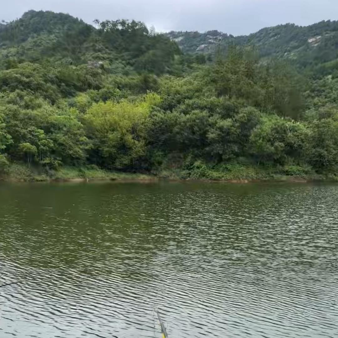 @益总🔥